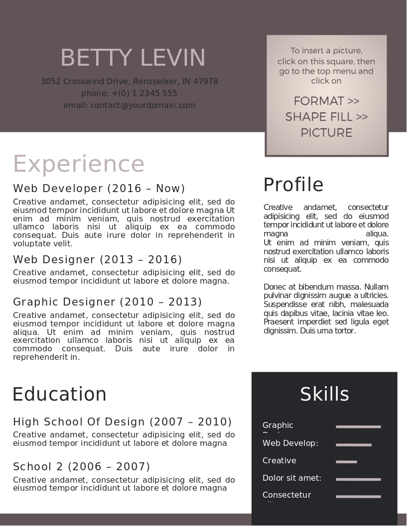 The Personal Branding CV – anteprima